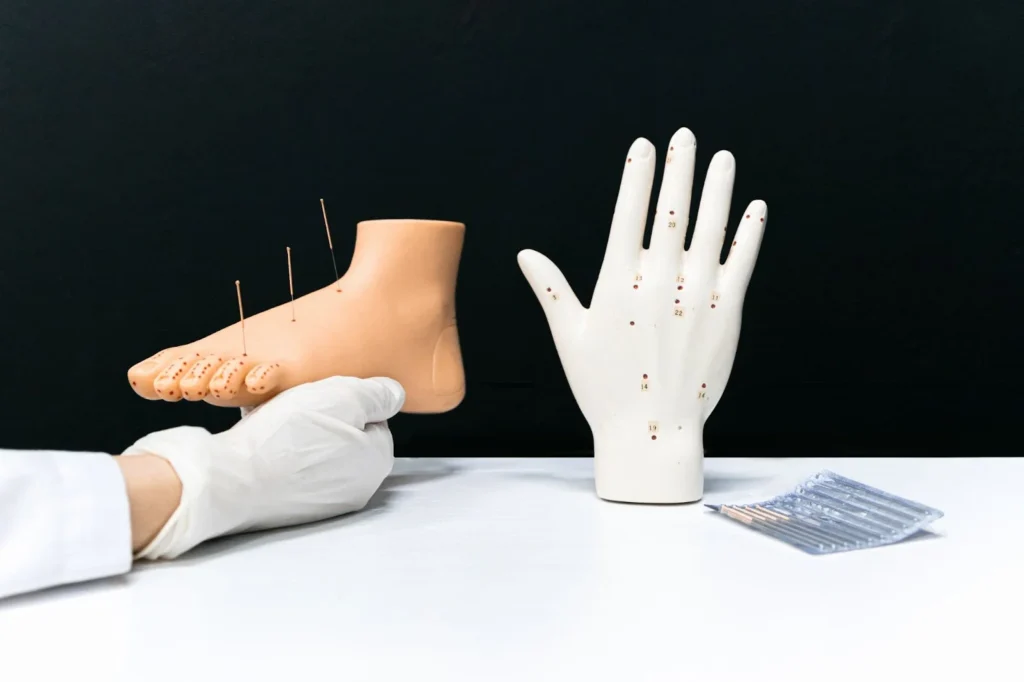 Person holding a foot acupuncture model

